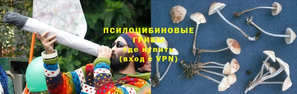 марки nbome Аркадак
